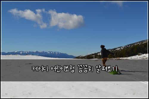 케이디 어린이보험 꼼꼼히 살펴보기