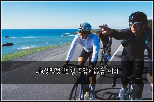 aia생명정기보험 부담이없음  미리
