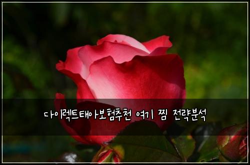 다이렉트태아보험추천 여기 찜 전략분석