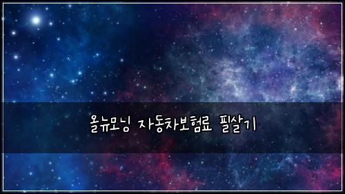 올뉴모닝 자동차보험료 필살기