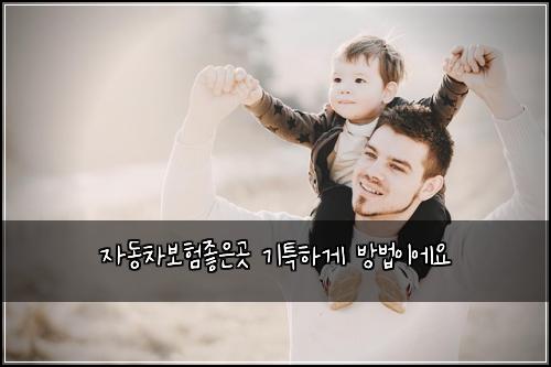 자동차보험좋은곳 기특하게 방법이에요