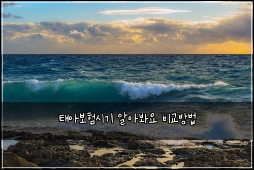 태아보험시기 알아봐요 비교방법
