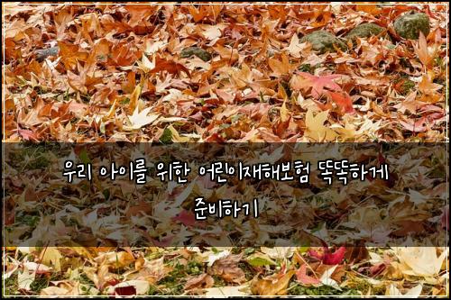 우리 아이를 위한 어린이재해보험 똑똑하게 준비하기