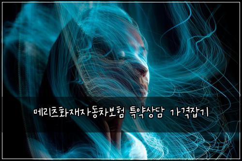 λ©λ¦¬μΈ νμ¬μλ차보ν νΉμ½μλ΄ κ°κ²©μ‘κΈ°