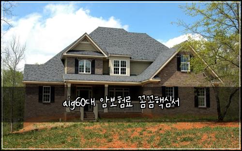 aig60대 암보험료 꼼꼼핵심서