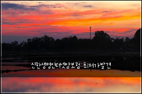 ์ ํ์๋ช
์ธํฐ๋ท์๋ณดํ ์ต์ ๊ฐ๋ฐ๊ฒฌ