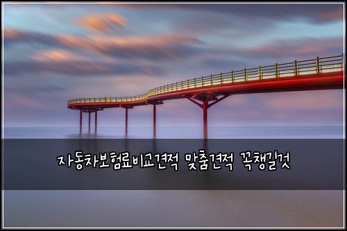 자동차보험료비교견적 맞춤견적 꼭챙길것