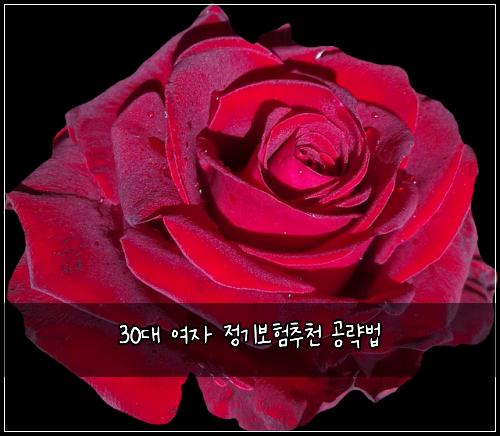 30๋ ์ฌ์ ์ ๊ธฐ๋ณดํ์ถ์ฒ ๊ณต๋ต๋ฒ