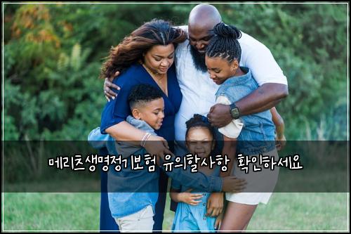 메리츠생명정기보험 유의할사항  확인하세요