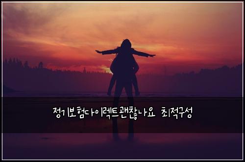 정기보험다이렉트괜찮나요 최적구성