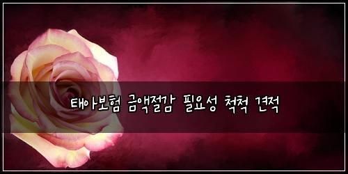 태아보험 금액절감  필요성 척척 견적