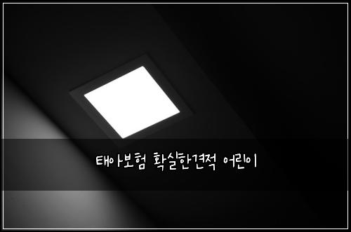 ํ์๋ณดํ ํ์คํ๊ฒฌ์ ์ด๋ฆฐ์ด