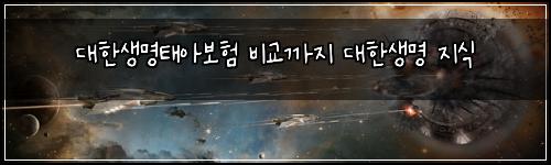 대한생명태아보험 비교까지  대한생명 지식