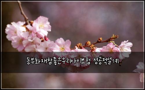 동부화재참좋은우리아이보험 성공적설계 