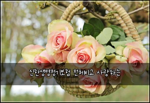 신한생명정기보험 전체비교  사랑하는