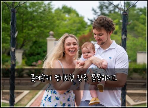 롯데손해 정기보험 강추  꼼꼼히체크