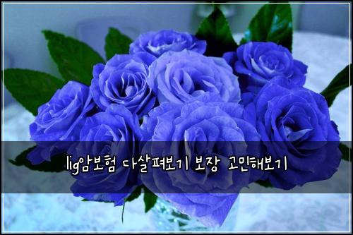 ligμ보ν λ€μ΄ν΄λ³΄κΈ° 보μ₯ κ³ λ―Όν΄λ³΄κΈ°