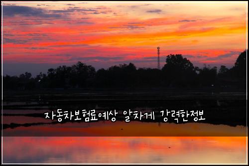 ์๋์ฐจ๋ณดํ๋ฃ์์ ์์ฐจ๊ฒ ๊ฐ๋ ฅํ์ ๋ณด