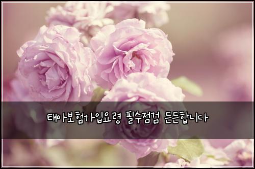 ํ์๋ณดํ๊ฐ์
์๋ น ํ์์ ๊ฒ ๋ ๋ ํฉ๋๋ค