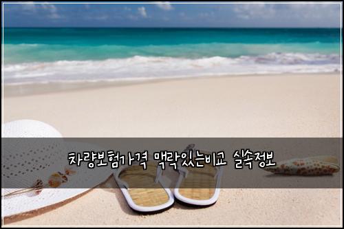 ์ฐจ๋๋ณดํ๊ฐ๊ฒฉ ๋งฅ๋ฝ์๋๋น๊ต ์ค์์ ๋ณด
