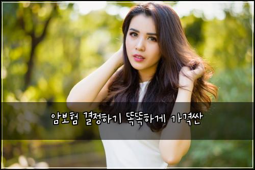 암보험 결정하기  똑똑하게 가격싼