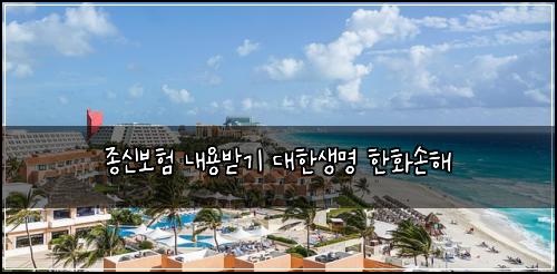 종신보험 내용받기  대한생명 한화손해