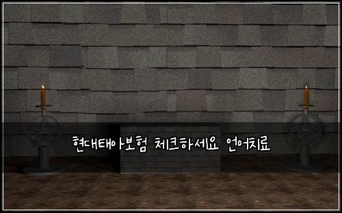 현대태아보험 체크하세요  언어치료