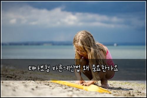 태아보험 바른계산법  왜 중요한가요