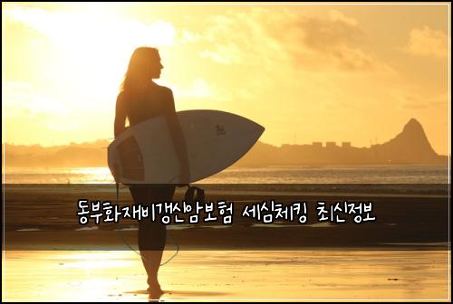 동부화재비갱신암보험 세심체킹  최신정보