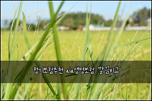 ์ ๊ธฐ๋ณดํ์ถ์ฒ aia์๋ช
๋ณดํ ๊น๋๋น๊ต