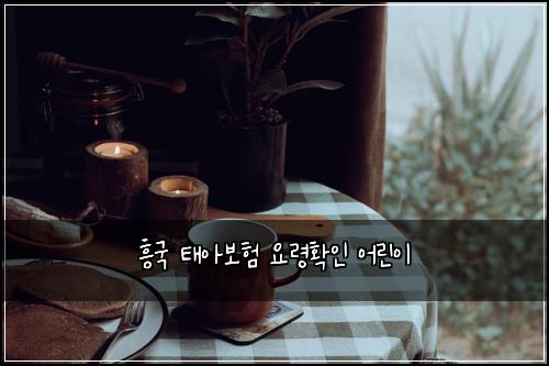 흥국 태아보험 요령확인  어린이