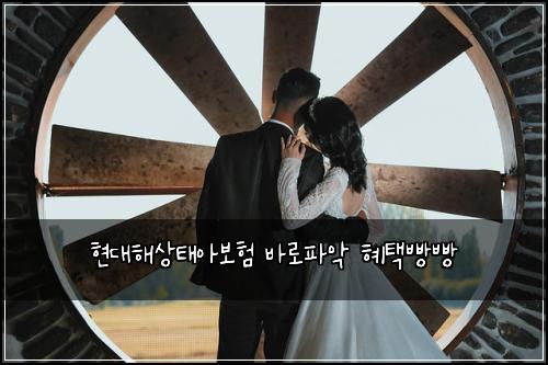 현대해상태아보험 바로파악  혜택빵빵