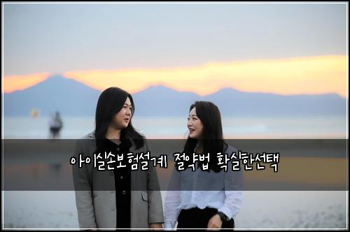 ์์ด์ค์๋ณดํ์ค๊ณ ์ ์ฝ๋ฒ ํ์คํ์ ํ