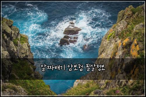 알짜배기 암보험 필살정보 