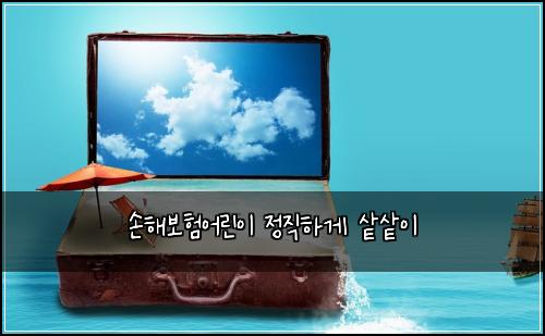 손해보험어린이 정직하게 샅샅이