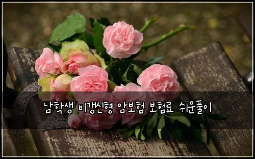 남학생 비갱신형 암보험 보험료 쉬운풀이