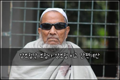암보험각 보험사 암보험 비교 간편계산