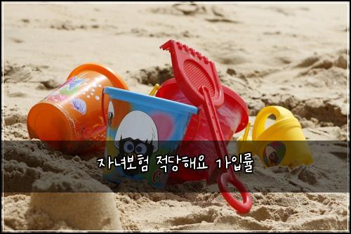 자녀보험 적당해요  가입률