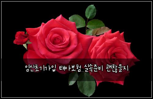 임신초기가입 태아보험 실속준비  괜찮을지
