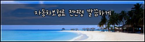 자동차보험료 전연령 깔끔하게
