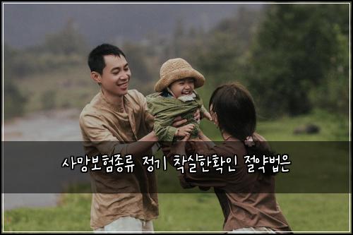 사망보험종류 정기 착실한확인 절약법은
