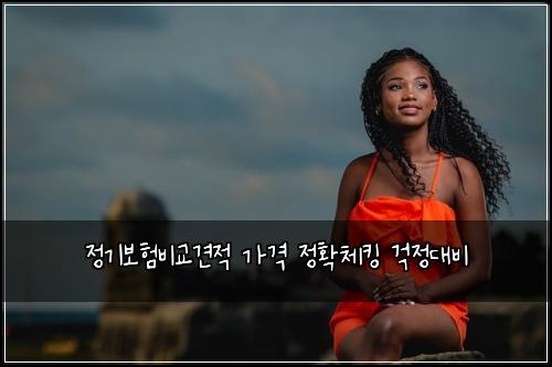 정기보험비교견적 가격 정확체킹 걱정대비