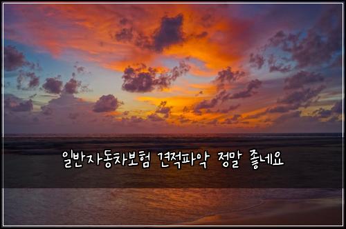 일반자동차보험 견적파악  정말 좋네요