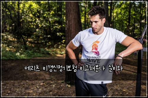 메리츠 비갱신정기보험 비교해본다  실비와