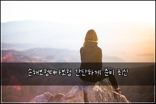 ์ํด๋ณดํํ์๋ณดํ ๊ฐ๋จํ๊ฒ ์ค๋น ์ต์
