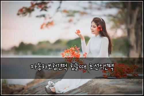 자동차보험견적 힘들때 최선의선택