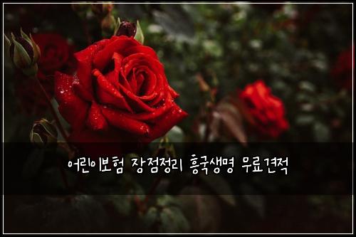 어린이보험 장점정리  흥국생명 무료견적