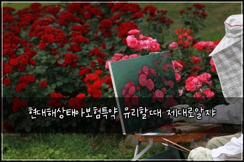 현대해상태아보험특약 유리할때 제대로알쟈