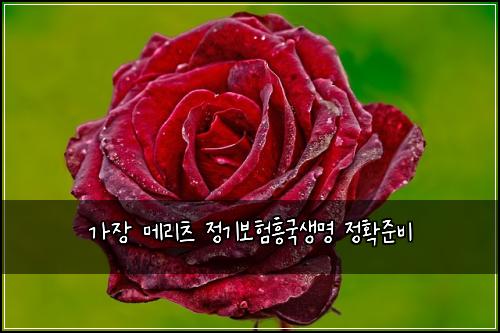 ๊ฐ์ฅ ๋ฉ๋ฆฌ์ธ ์ ๊ธฐ๋ณดํํฅ๊ตญ์๋ช
์ ํ์ค๋น
