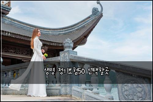생명 정기보험50 선택할곳